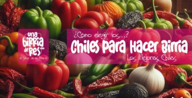 IMAGEN - UnaBirriaDeRes Com - chiles para birria de res - chiles para hacer birria - 02