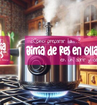 IMAGEN - UnaBirriaDeRes Com - como hacer birria de res en olla express - birria en olla express - 03