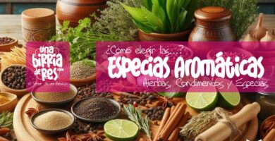 IMAGEN - UnaBirriaDeRes Com - especias para birria - condimentos para birria de res - 02